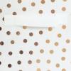 imageDII Non Woven Polyester Storage Bin Polka Dot White ampamp Gold Small Set of 2White  Copper