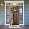 imageDII Pet Print Collection Natural Coir Doormat 17x29 Home CatCats Welcome