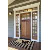 imageDII Pet Print Collection Natural Coir Doormat 17x29 Home CatHome Cat