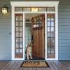 imageDII Pet Print Collection Natural Coir Doormat 17x29 Home CatPeople Tolerated