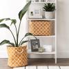 imageDII Polyester Container with Handles Lattice Storage Bin Medium Bright GreenPumpkin Spice