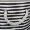 imageDII Woven Paper Storage Bin Pinstripe Rose Medium RectangleBlack