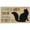 Home Cat