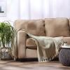 imageDII Chevron Throw Collection Handloomed Cotton 50x60 EggplantArtichoke
