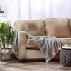 imageDII Chevron Throw Collection Handloomed Cotton 50x60 EggplantFrench Blue