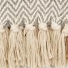 imageDII Chevron Throw Collection Handloomed Cotton 50x60 EggplantGray