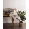imageDII Global Diamond Stripe Woven Throw 50x60Inch StoneBlackberry