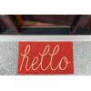 imageDII Hello Coir Fiber Doormat NonSlip Durable OutdoorIndoor Pet Friendly 18x30 AquaCoral