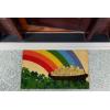 imageDII IndoorOutdoor Natural Coir Fiber SpringSummer Doormat 17x29 Lucky DayPot of Gold Glitter