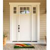 imageDII IndoorOutdoor Natural Coir Fiber SpringSummer Doormat 17x29 Lucky DayPot of Gold Glitter