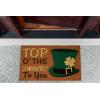 imageDII IndoorOutdoor Natural Coir Fiber SpringSummer Doormat 17x29 Lucky DayTop O the Mornin