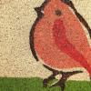 imageDII Natural Coir Doormat Outdoor Welcome Mat 17x29 Cabana StripesFor the Birds