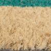 imageDII Natural Coir Doormat Outdoor Welcome Mat 17x29 Cabana StripesPalm Tree