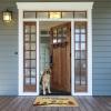 imageDII Natural Coir Doormat Outdoor Welcome Mat 17x29 Our Nest