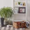 imageBone Dry Pet Storage Collection Bone Shape Hyacinth Toy Basket Natural MediumDark Brown