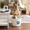 imageBone Dry Pet Storage Collection Collapsible Bin Medium Round OffWhiteOffWhite