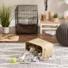 imageBone Dry Pet Storage Collection Collapsible Bin Medium Round OffWhiteTaupe