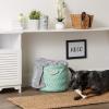 imageBone Dry Pet Storage Collection Lattice Paw Print Small Round WhiteAquaAqua