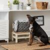 imageBone Dry Pet Storage Collection Lattice Paw Print Small Round WhiteAquaBlack