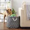 imageBone Dry Pet Storage Collection Lattice Paw Print Small Round WhiteAquaBlack