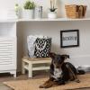 imageBone Dry Pet Storage Collection Lattice Paw Print Small Round WhiteAquaBlack