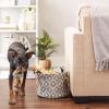 imageBone Dry Pet Storage Collection Lattice Paw Print Small Round WhiteAquaGray