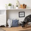 imageBone Dry Pet Storage Collection Lattice Paw Print Small Round WhiteAquaNautical Blue