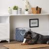 imageBone Dry Pet Storage Collection Lattice Paw Print Small Round WhiteAquaNautical Blue