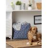 imageBone Dry Pet Storage Collection Lattice Paw Print Small Round WhiteAquaNautical Blue