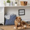 imageBone Dry Pet Storage Collection Lattice Paw Print Small Round WhiteAquaNautical Blue