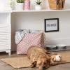 imageBone Dry Pet Storage Collection Lattice Paw Print Small Round WhiteAquaRose