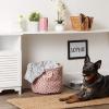 imageBone Dry Pet Storage Collection Lattice Paw Print Small Round WhiteAquaRose