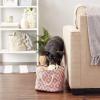 imageBone Dry Pet Storage Collection Lattice Paw Print Small Round WhiteAquaRose
