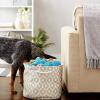 imageBone Dry Pet Storage Collection Lattice Paw Print Small Round WhiteAquaStone