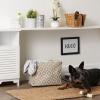 imageBone Dry Pet Storage Collection Lattice Paw Print Small Round WhiteAquaStone