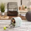 imageBone Dry Pet Storage Collection Lattice Paw Print Small Round WhiteAquaWhiteAqua