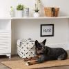 imageBone Dry Pet Storage Collection Paw and Bone Print Small Rectangle 14x8x9quot RoseBlack