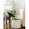 imageBone Dry Pet Storage Collection Paw and Bone Print Small Rectangle 14x8x9quot RoseBlack