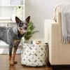 imageBone Dry Pet Storage Collection Paw and Bone Print Small Rectangle 14x8x9quot RoseDark Brown