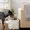 imageBone Dry Pet Storage Collection Paw and Bone Print Small Rectangle 14x8x9quot RoseGray