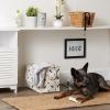 imageBone Dry Pet Storage Collection Paw and Bone Print Small Rectangle 14x8x9quot RoseNautical Blue