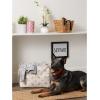 imageBone Dry Pet Storage Collection Paw and Bone Print Small Rectangle 14x8x9quot RoseRose