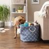 imageBone Dry Pet Storage Collection Paw and Bone Print Small Rectangle 14x8x9quot RoseStonewash Blue