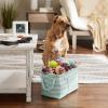imageBone Dry Pet Storage Collection Striped Paw Patch Bin Small Round NavyAqua