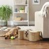 imageBone Dry Pet Storage Collection Toy Basket Medium 21x13x8quot Brown Plastic WickerBeige Plastic Wicker