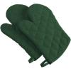 imageDII Basic Terry Collection 100 Cotton Quilted Oven Mitt Aqua 2 PieceDark Green