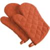 imageDII Basic Terry Collection 100 Cotton Quilted Oven Mitt Aqua 2 PieceSpice