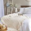 imageDII Chenille Luxury Thick Woven Throw with Fringe 50x60 CreamCream