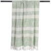 imageDII MidCentury Modern Slub Stripe Woven Throw Mint 50x60Mint