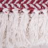 imageDII Modern Farmhouse Cotton Herringbone Blanket Throw with Fringe for Chair Couch Picnic Camping Beach ampamp Everyday Use 50 x 60  French BlueBarn Red